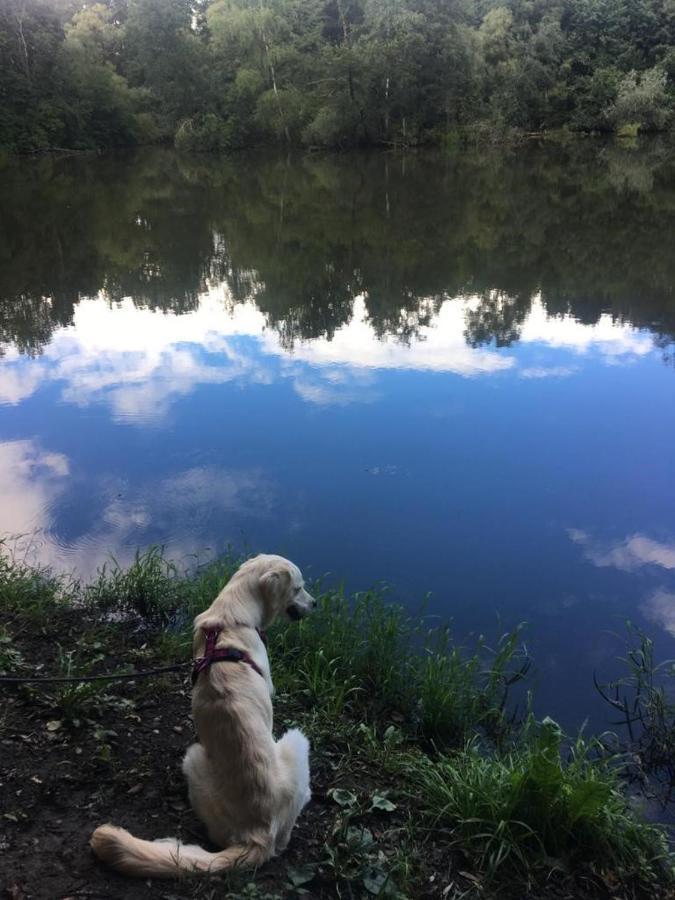 Millies Hosting - Familienurlaub Mit Hund In Kaernten Sankt Paul im Lavanttal Εξωτερικό φωτογραφία