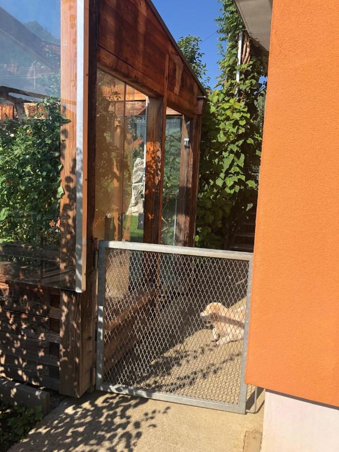 Millies Hosting - Familienurlaub Mit Hund In Kaernten Sankt Paul im Lavanttal Εξωτερικό φωτογραφία