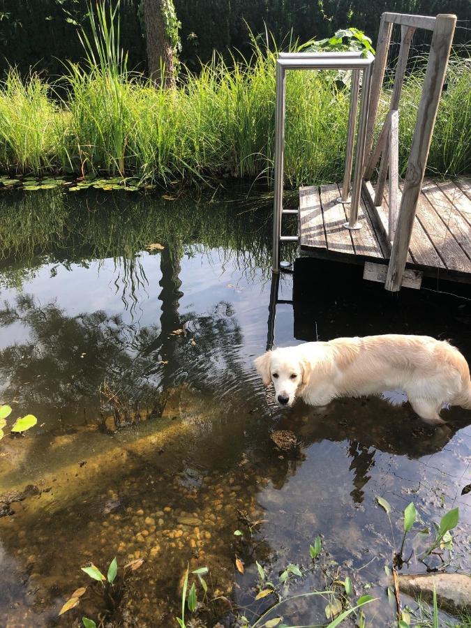 Millies Hosting - Familienurlaub Mit Hund In Kaernten Sankt Paul im Lavanttal Εξωτερικό φωτογραφία