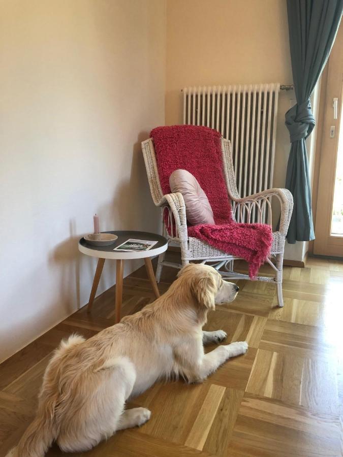 Millies Hosting - Familienurlaub Mit Hund In Kaernten Sankt Paul im Lavanttal Εξωτερικό φωτογραφία