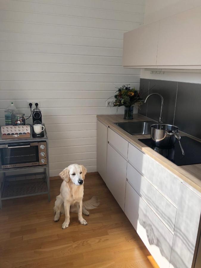 Millies Hosting - Familienurlaub Mit Hund In Kaernten Sankt Paul im Lavanttal Εξωτερικό φωτογραφία