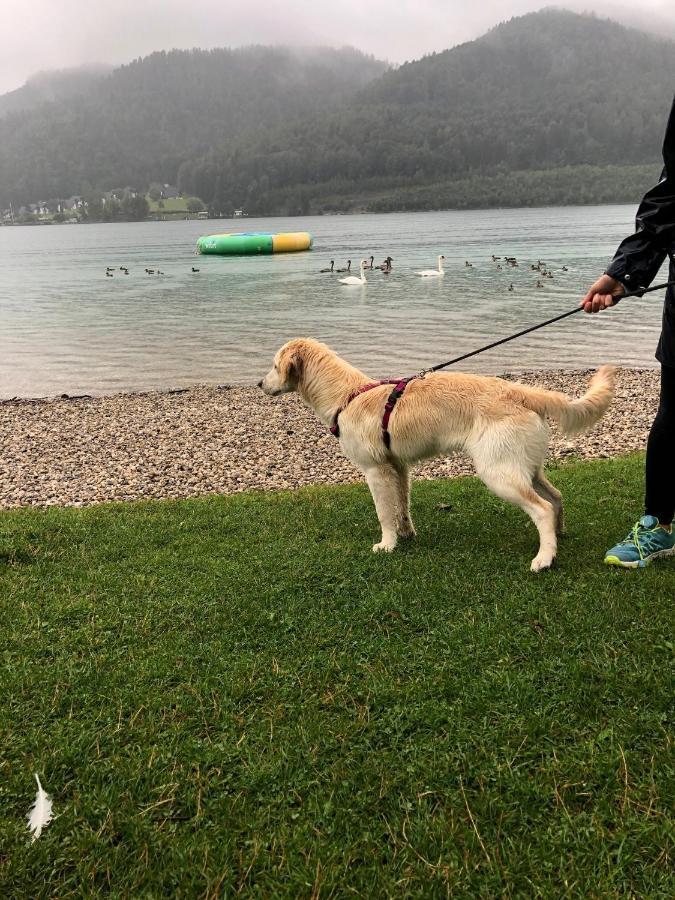 Millies Hosting - Familienurlaub Mit Hund In Kaernten Sankt Paul im Lavanttal Εξωτερικό φωτογραφία