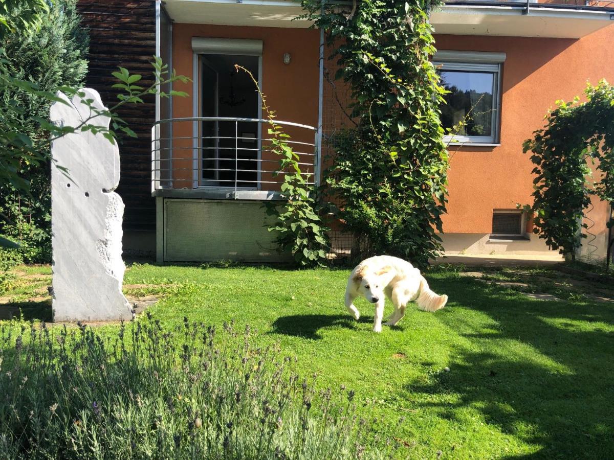 Millies Hosting - Familienurlaub Mit Hund In Kaernten Sankt Paul im Lavanttal Εξωτερικό φωτογραφία