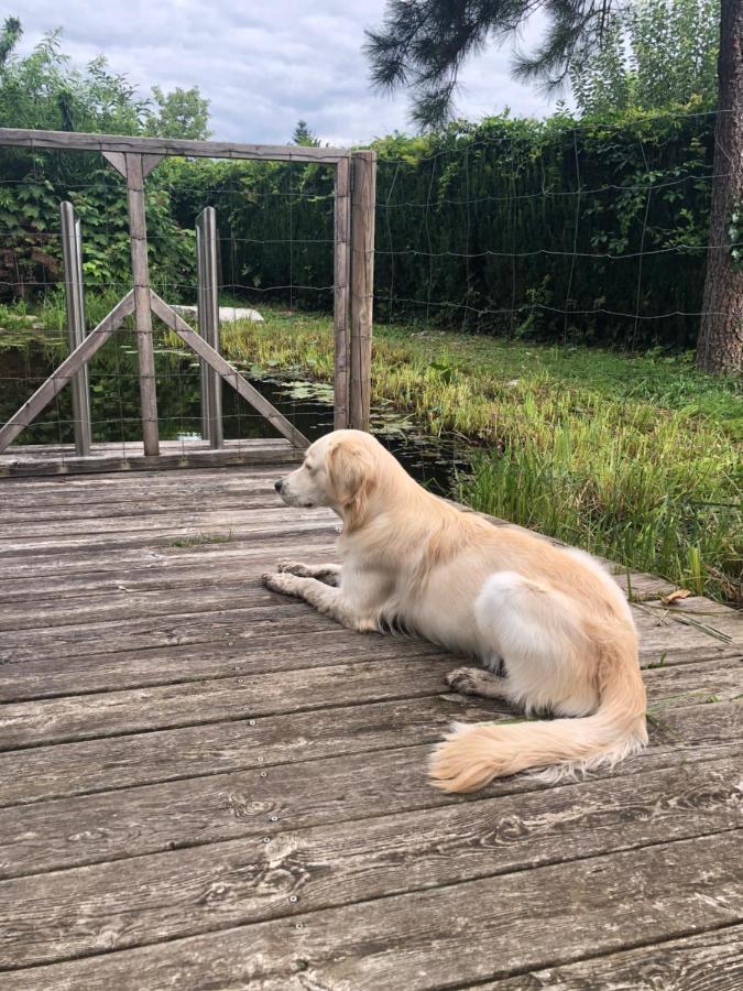 Millies Hosting - Familienurlaub Mit Hund In Kaernten Sankt Paul im Lavanttal Εξωτερικό φωτογραφία