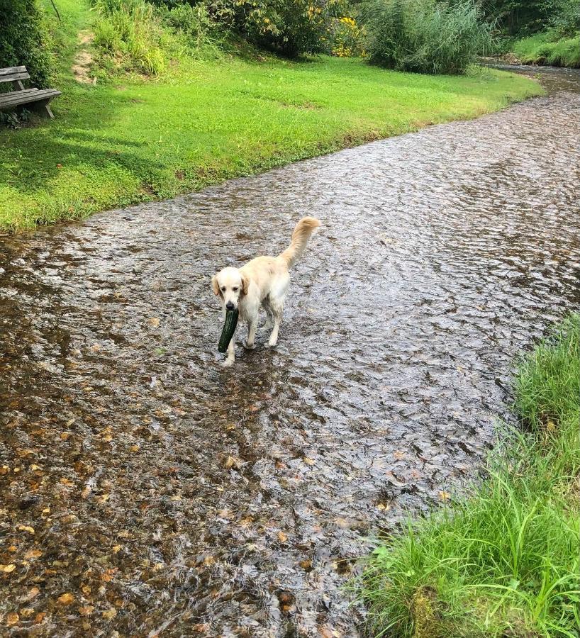 Millies Hosting - Familienurlaub Mit Hund In Kaernten Sankt Paul im Lavanttal Εξωτερικό φωτογραφία