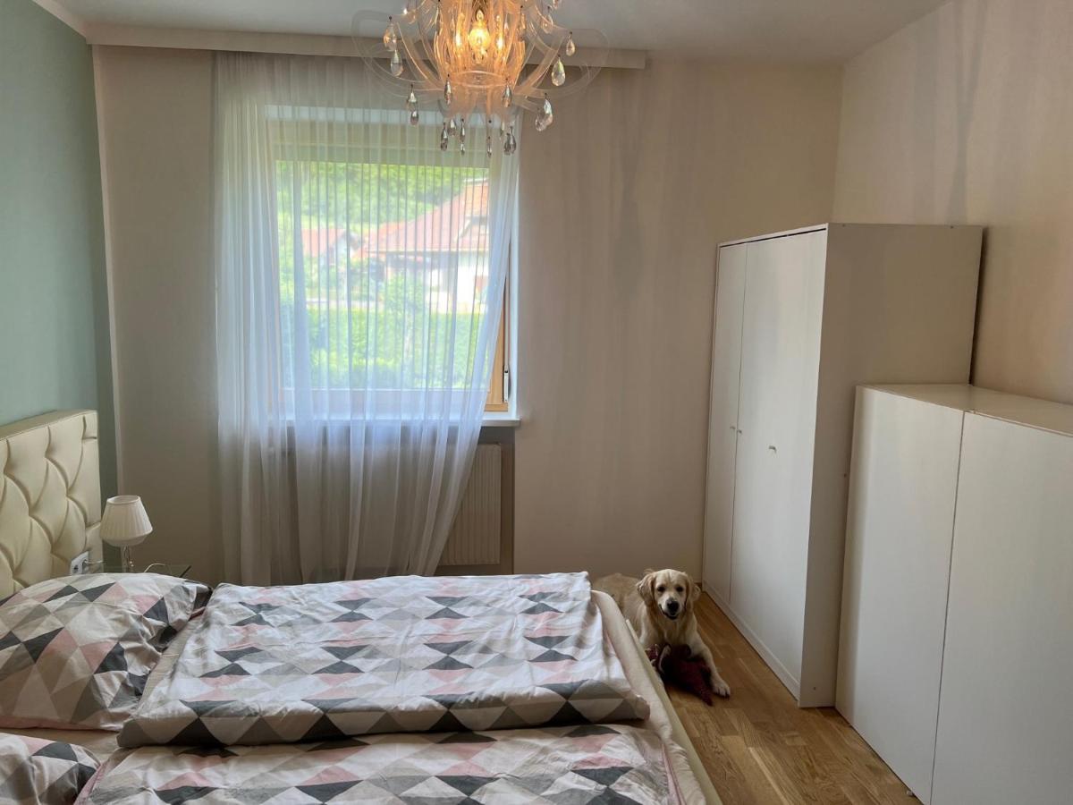 Millies Hosting - Familienurlaub Mit Hund In Kaernten Sankt Paul im Lavanttal Εξωτερικό φωτογραφία